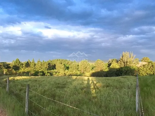 Imagem 5: TERRENO EM FRENTE A LAGOA DE IBIRAQUERA-SC