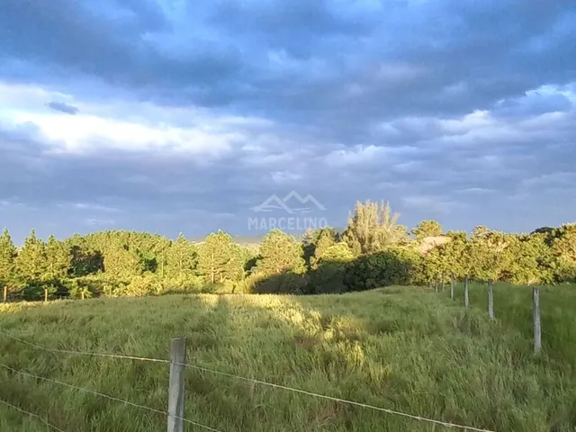 Imagem 2: TERRENO EM FRENTE A LAGOA DE IBIRAQUERA-SC