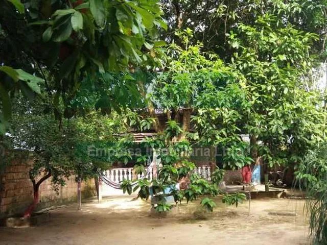 Imagem 7: Casa de rua - / Residencial / Cidade Nova