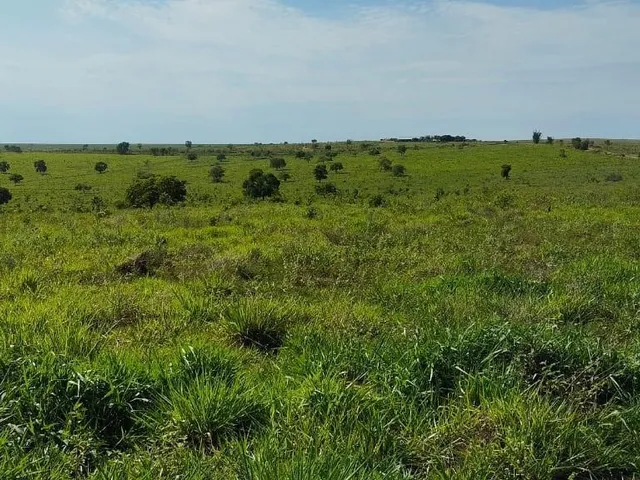 Imagem: Fazenda para Venda na Região de Sonora-Ms