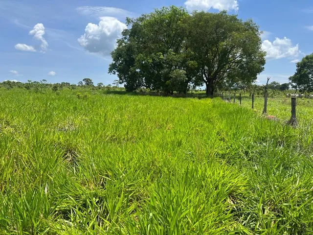 Imagem: Fazenda Dupla Aptidão para Venda na Região