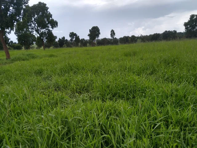 Imagem: A fazenda possui 183m² de Área e está localizado em Area