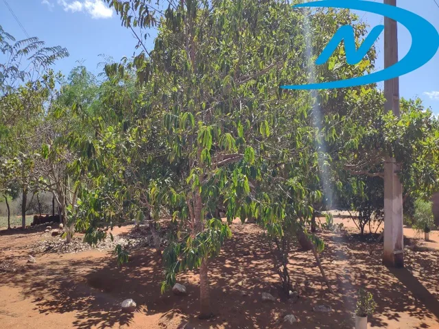 Imagem 13: Sitio Rural em Jequié - Ba, Nova Esperança