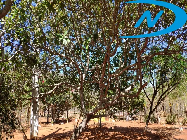 Imagem 14: Sitio Rural em Jequié - Ba, Nova Esperança