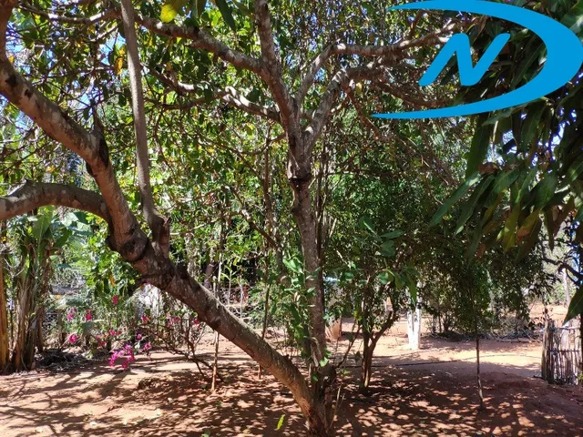 Imagem 5: Sitio Rural em Jequié - Ba, Nova Esperança
