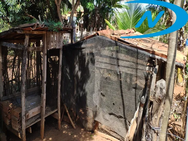 Imagem 12: Sitio Rural em Jequié - Ba, Nova Esperança