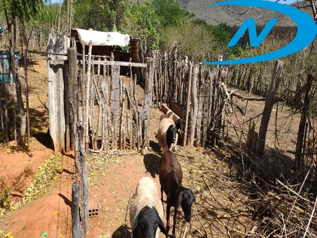 Imagem 10: Sitio Rural em Jequié - Ba, Nova Esperança