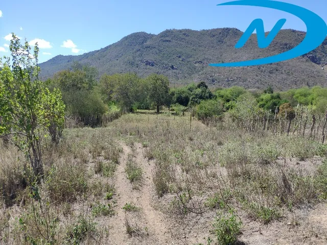 Imagem 4: Sitio Rural em Jequié - Ba, Nova Esperança
