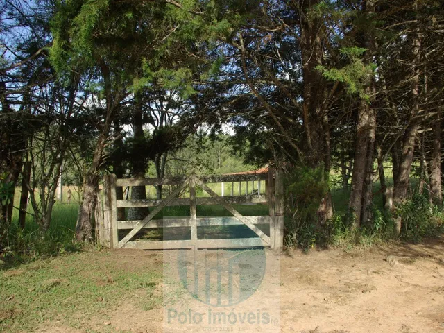 Imagem: Sítio 10,24 alqueires em Jacuí MG, casa