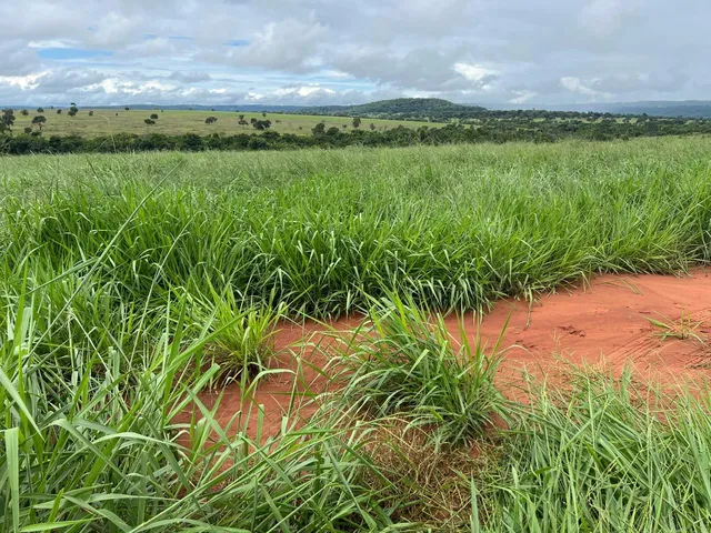 Imagem: Fazenda Dupla Aptidão para Venda na Região