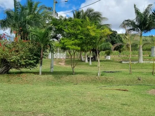 Imagem: Fazenda Rural em Serrinha - Ba, Zona Rural