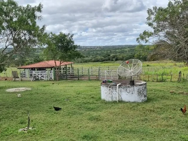 Imagem 4: Fazenda Rural em Serrinha - Ba, Zona Rural