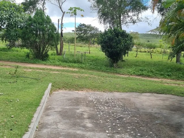 Imagem 5: Fazenda Rural em Serrinha - Ba, Zona Rural