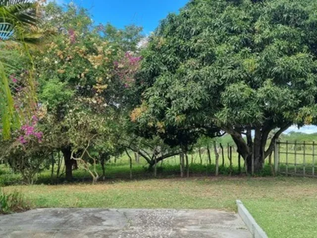 Imagem 2: Fazenda Rural em Serrinha - Ba, Zona Rural