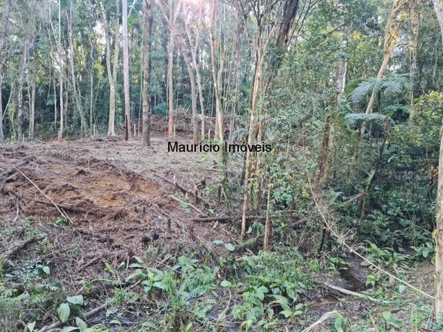 Imagem 12: TERRENO URBANO PARA LOTEAMENTO OU SÍTIO PRÓXIMO A CIDADE DE TAIÓ COM A ÁREA DE