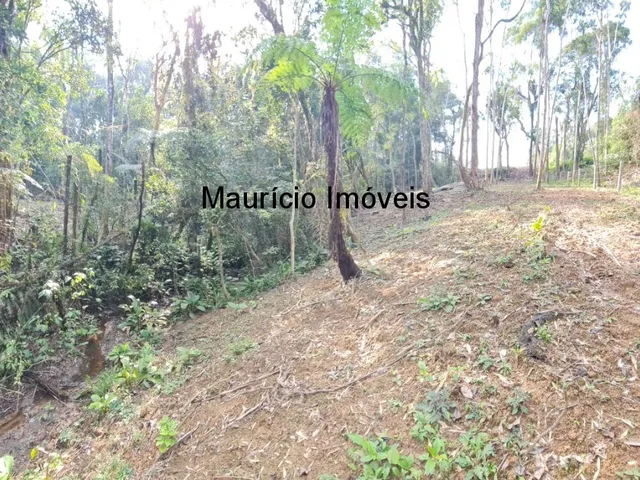 Imagem 13: TERRENO URBANO PARA LOTEAMENTO OU SÍTIO PRÓXIMO A CIDADE DE TAIÓ COM A ÁREA DE