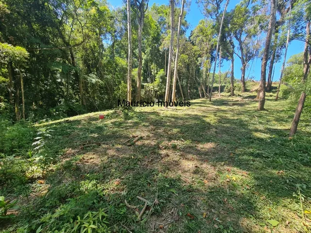 Imagem 4: TERRENO URBANO PARA LOTEAMENTO OU SÍTIO PRÓXIMO A CIDADE DE TAIÓ COM A ÁREA DE