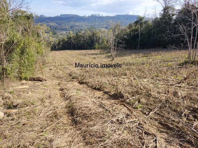 Imagem 8: TERRENO URBANO PARA LOTEAMENTO OU SÍTIO PRÓXIMO A CIDADE DE TAIÓ COM A ÁREA DE