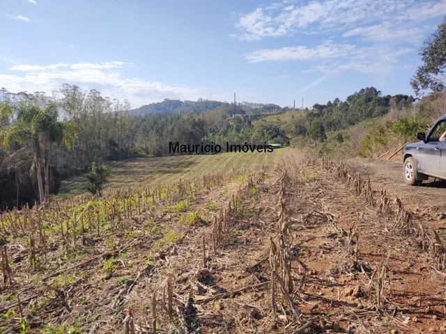 Imagem 6: TERRENO URBANO PARA LOTEAMENTO OU SÍTIO PRÓXIMO A CIDADE DE TAIÓ COM A ÁREA DE