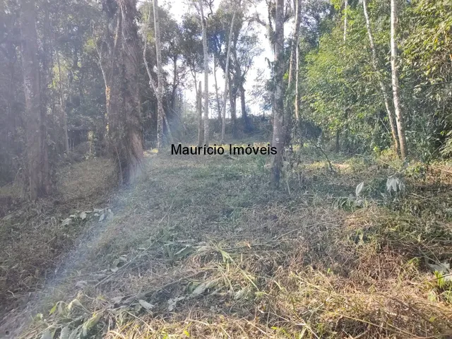 Imagem 11: TERRENO URBANO PARA LOTEAMENTO OU SÍTIO PRÓXIMO A CIDADE DE TAIÓ COM A ÁREA DE