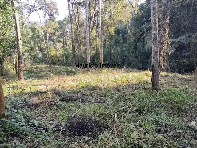 Imagem 16: TERRENO URBANO PARA LOTEAMENTO OU SÍTIO PRÓXIMO A CIDADE DE TAIÓ COM A ÁREA DE