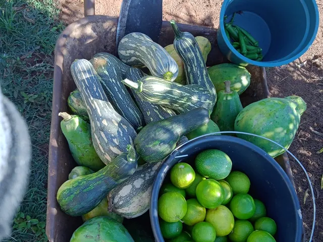 Imagem 6: Chacara Rural em Deodápolis - Ms, Rural