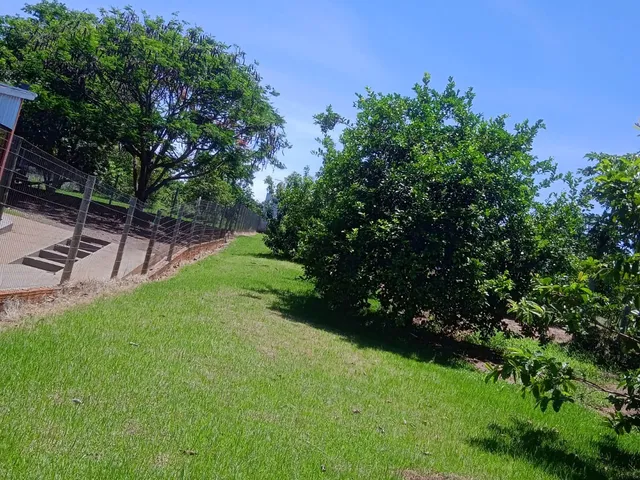 Imagem 16: Chacara Rural em Deodápolis - Ms, Rural