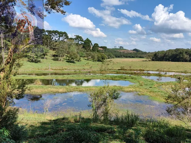 Imagem 1: Sítio em Bateias de Baixo, Campo Alegre/SC
