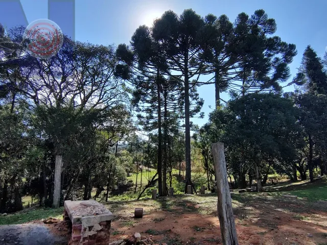 Imagem 11: Sítio em Bateias de Baixo, Campo Alegre/SC