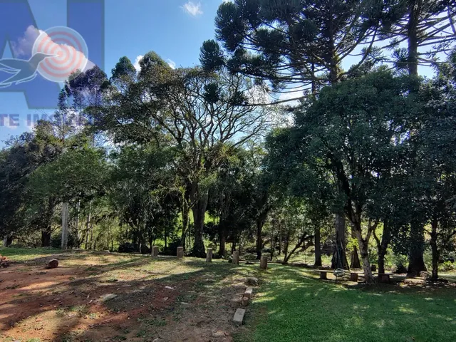 Imagem 15: Sítio em Bateias de Baixo, Campo Alegre/SC
