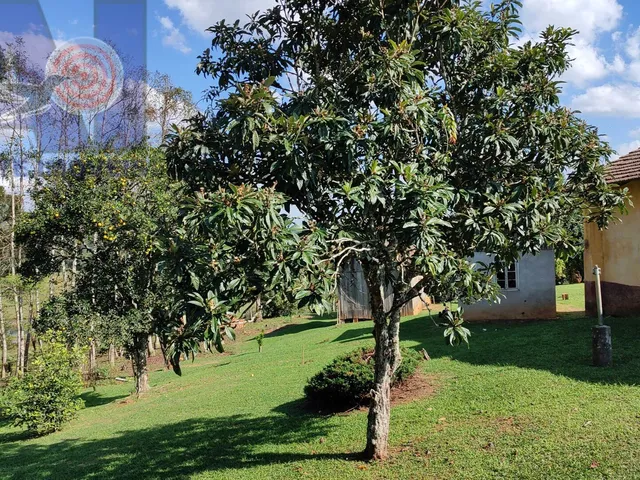 Imagem 2: Sítio em Bateias de Baixo, Campo Alegre/SC