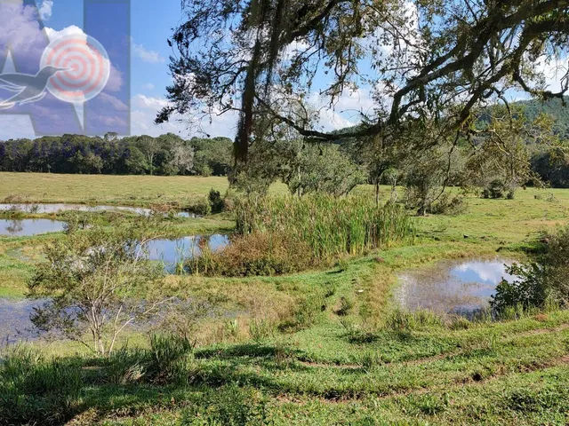 Imagem 10: Sítio em Bateias de Baixo, Campo Alegre/SC
