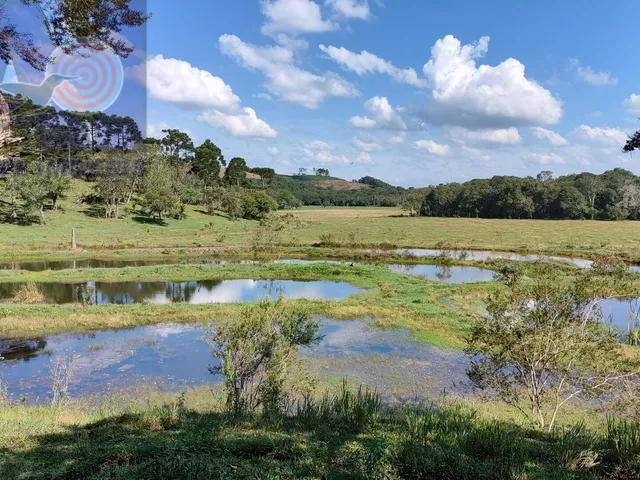 Imagem 12: Sítio em Bateias de Baixo, Campo Alegre/SC