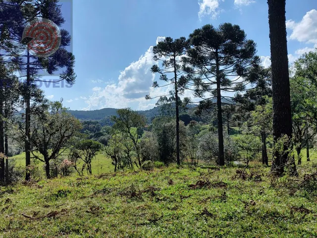 Imagem 16: Sítio em Bateias de Baixo, Campo Alegre/SC