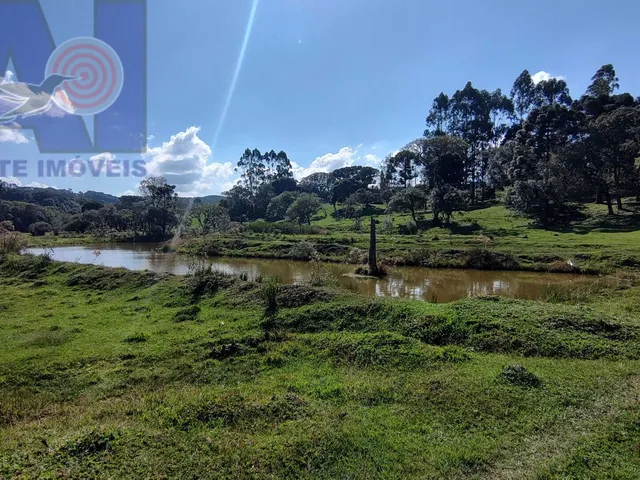 Imagem 9: Sítio em Bateias de Baixo, Campo Alegre/SC