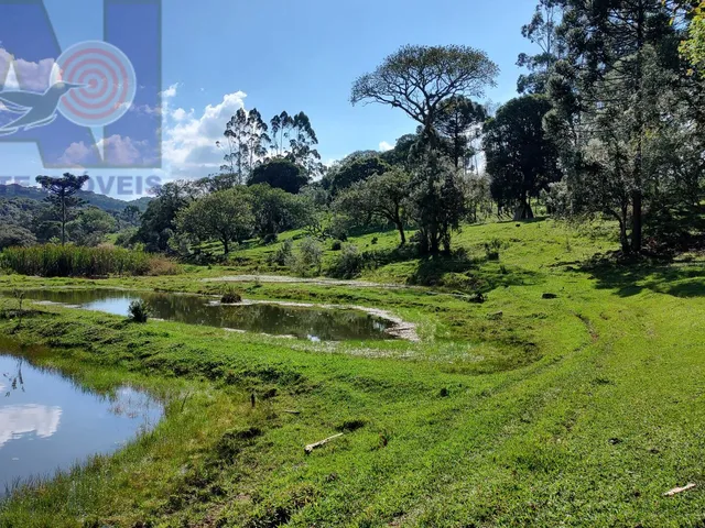 Imagem 8: Sítio em Bateias de Baixo, Campo Alegre/SC