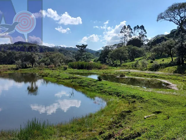 Imagem 14: Sítio em Bateias de Baixo, Campo Alegre/SC