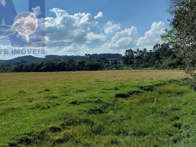 Imagem 3: Sítio em Bateias de Baixo, Campo Alegre/SC