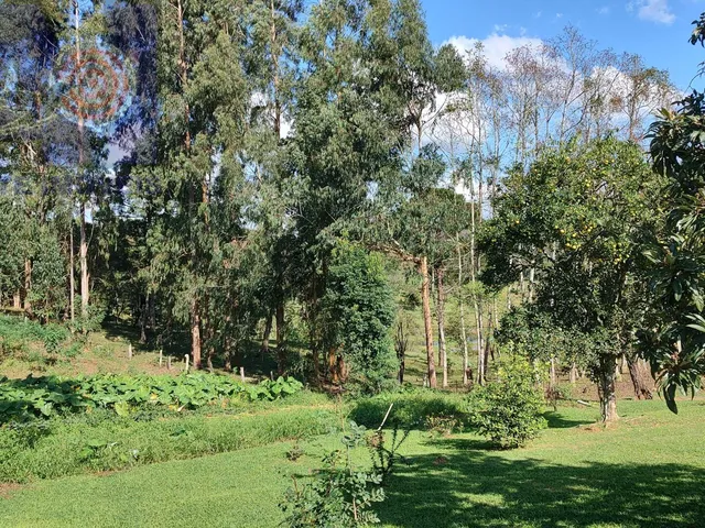 Imagem 4: Sítio em Bateias de Baixo, Campo Alegre/SC