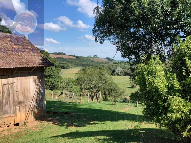 Imagem 5: Sítio em Bateias de Baixo, Campo Alegre/SC