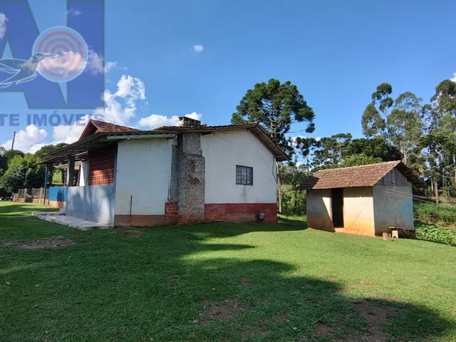 Imagem 7: Sítio em Bateias de Baixo, Campo Alegre/SC