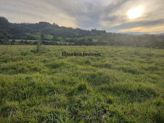 Imagem 6: Terreno Industrial BR 470 em Pouso Redondo com a área de 35.000,00 m², Distrito