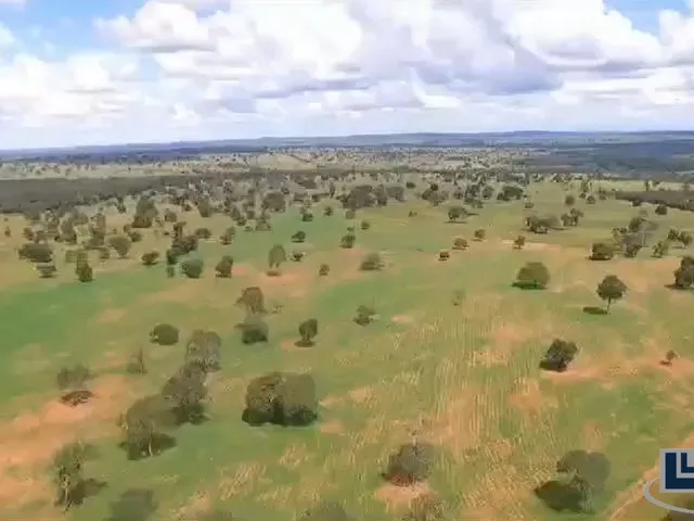 Imagem: Ótima Fazenda na Pecuaria para Venda em