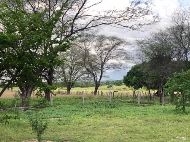 Imagem: Fazenda Rural em Porteirinha - Mg, Fazenda