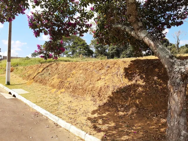 Imagem: Terreno em Condomínio em Salvaterra, Juiz