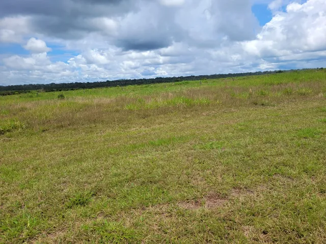 Imagem: Fazenda Dupla Aptidao para Venda na Região