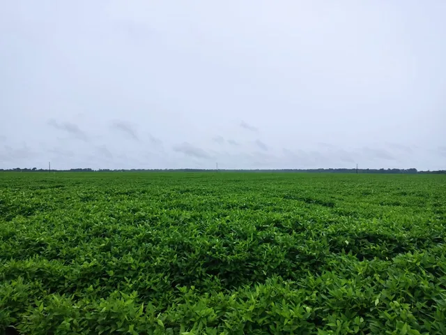 Imagem: Fazenda para Venda na Região de Porto Alegre