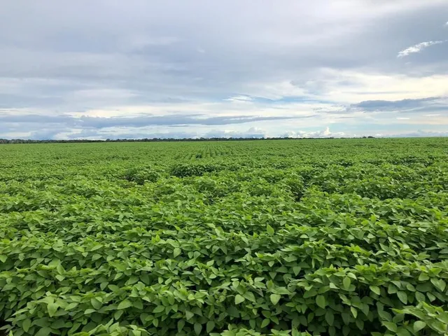 Imagem: Fazenda para Venda na Região de Porto Alegre