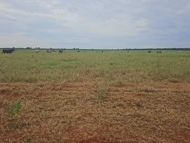 Imagem: Fazenda Dupla Aptidão para Venda na Região