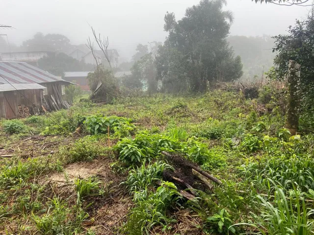 Imagem: Terreno Vila Germãnia
